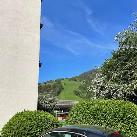 Vidaoro Flat * 젤암제